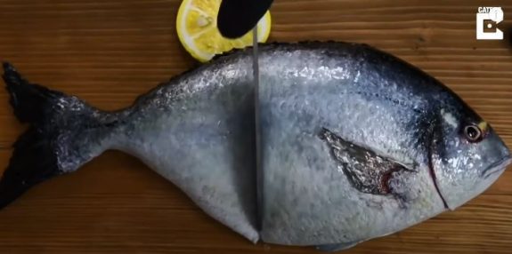 fish