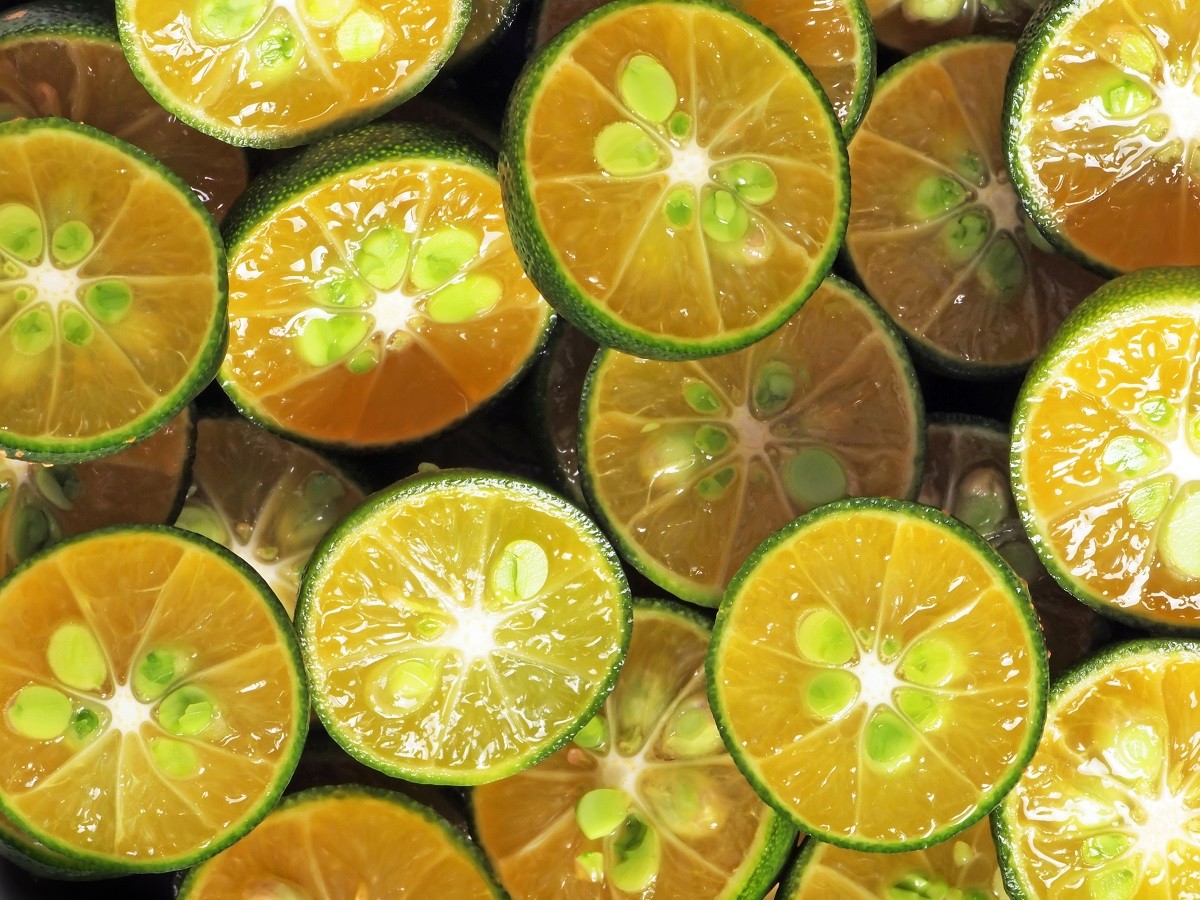 8533788 – calamansi