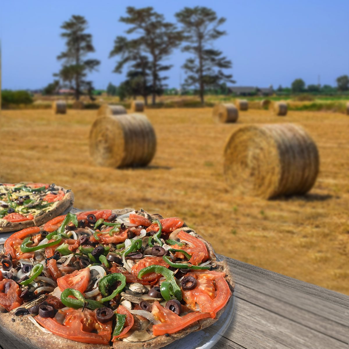 pizza-fan-sarakosti