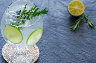 gin and tonic