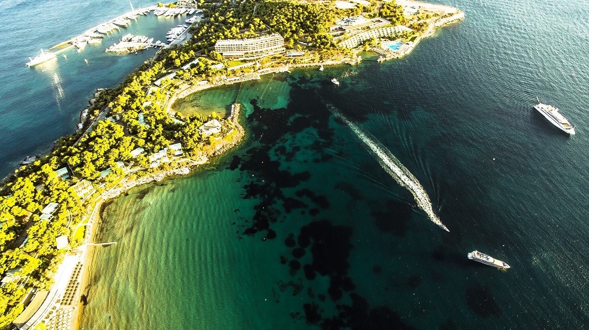 62913237_l 2 mikri
