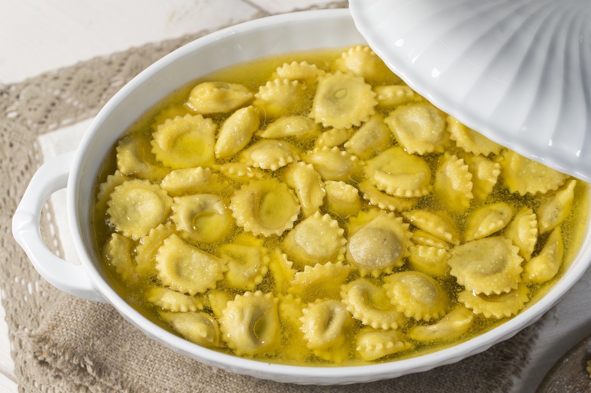 Anolini_1