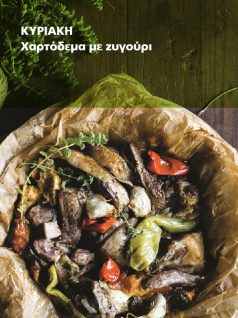 zugouri-xartodema