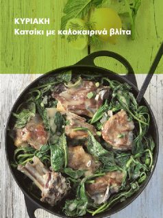 katsikaki-vlita