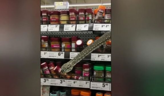 fidi supermarket