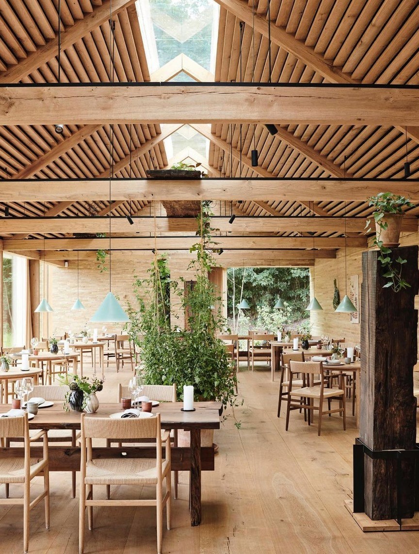 noma inside
