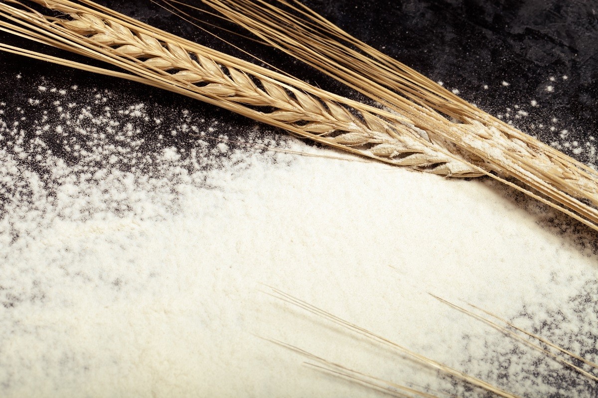 Wheat ears and sprinkle flour on black background. Toned