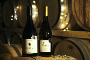 idaiawinery5