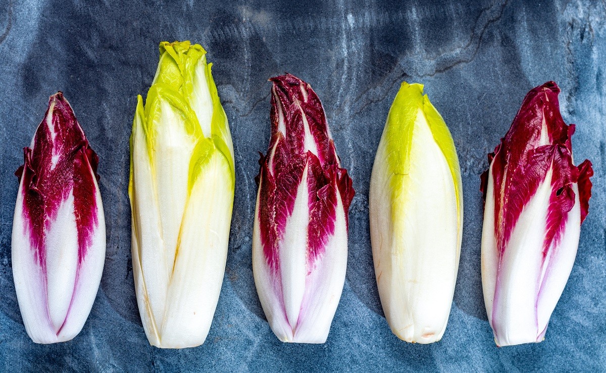Food background, flat lay concept with fresh green Belgian endiv