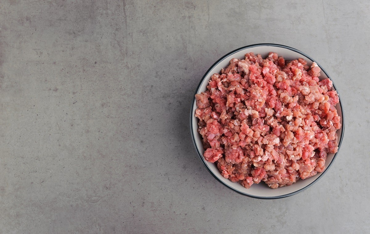 Natural raw ingredients for pet food on grey background.