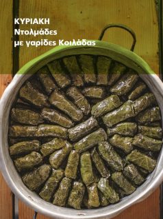 ntolmadakia