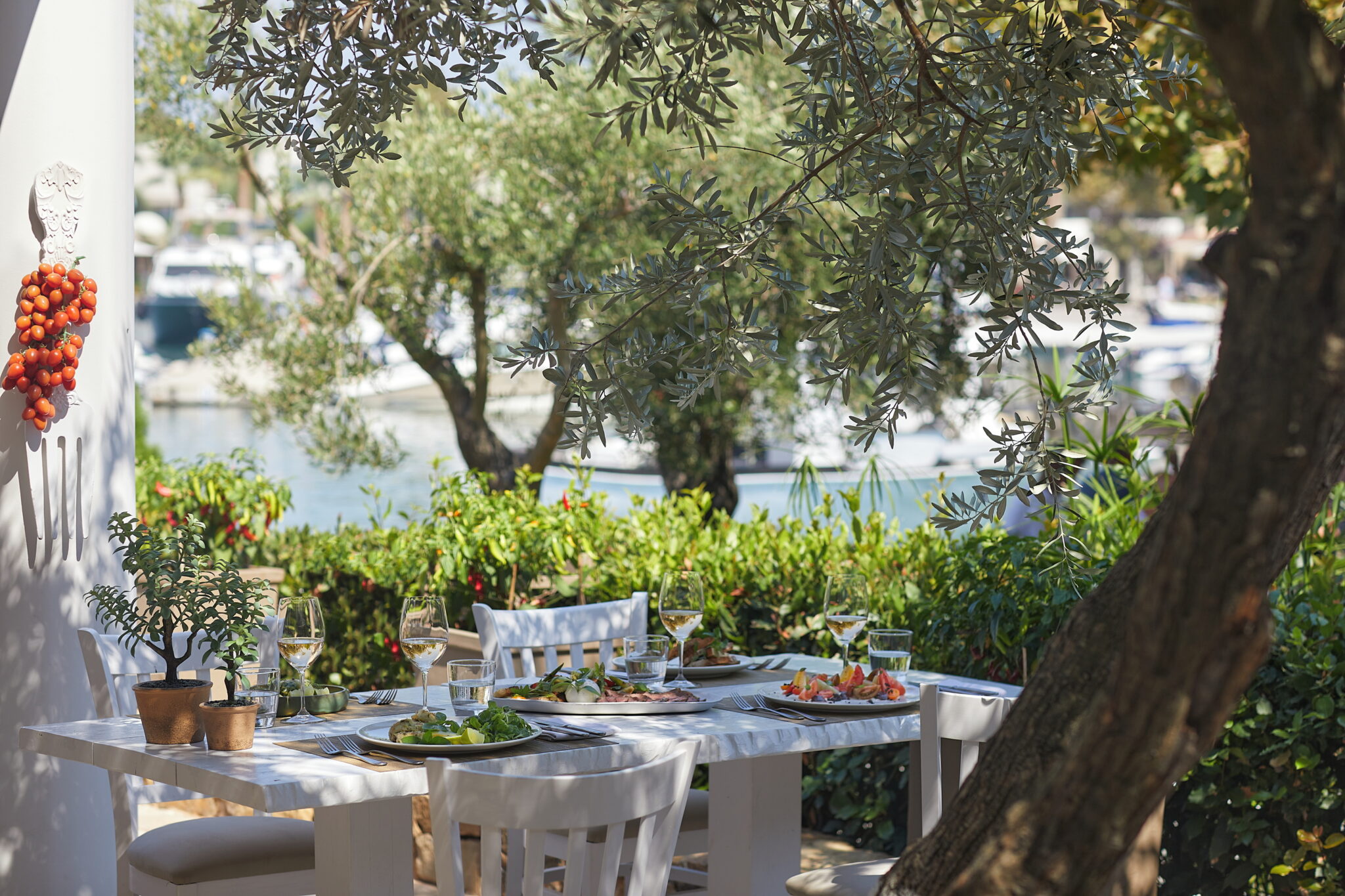 Sani Gastronomy