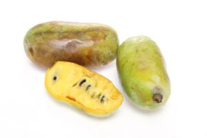 Pawpaw in a white background