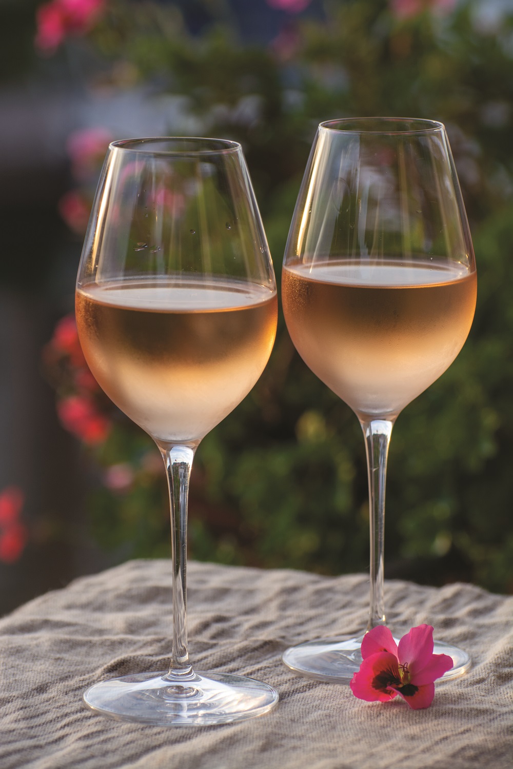 Tasting of local rose wine in summer with sail boats haven of Po