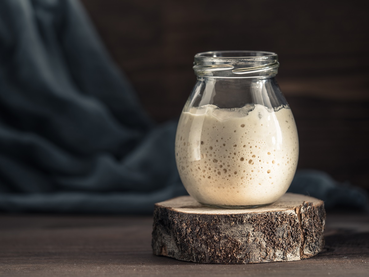 Wheat sourdough starter