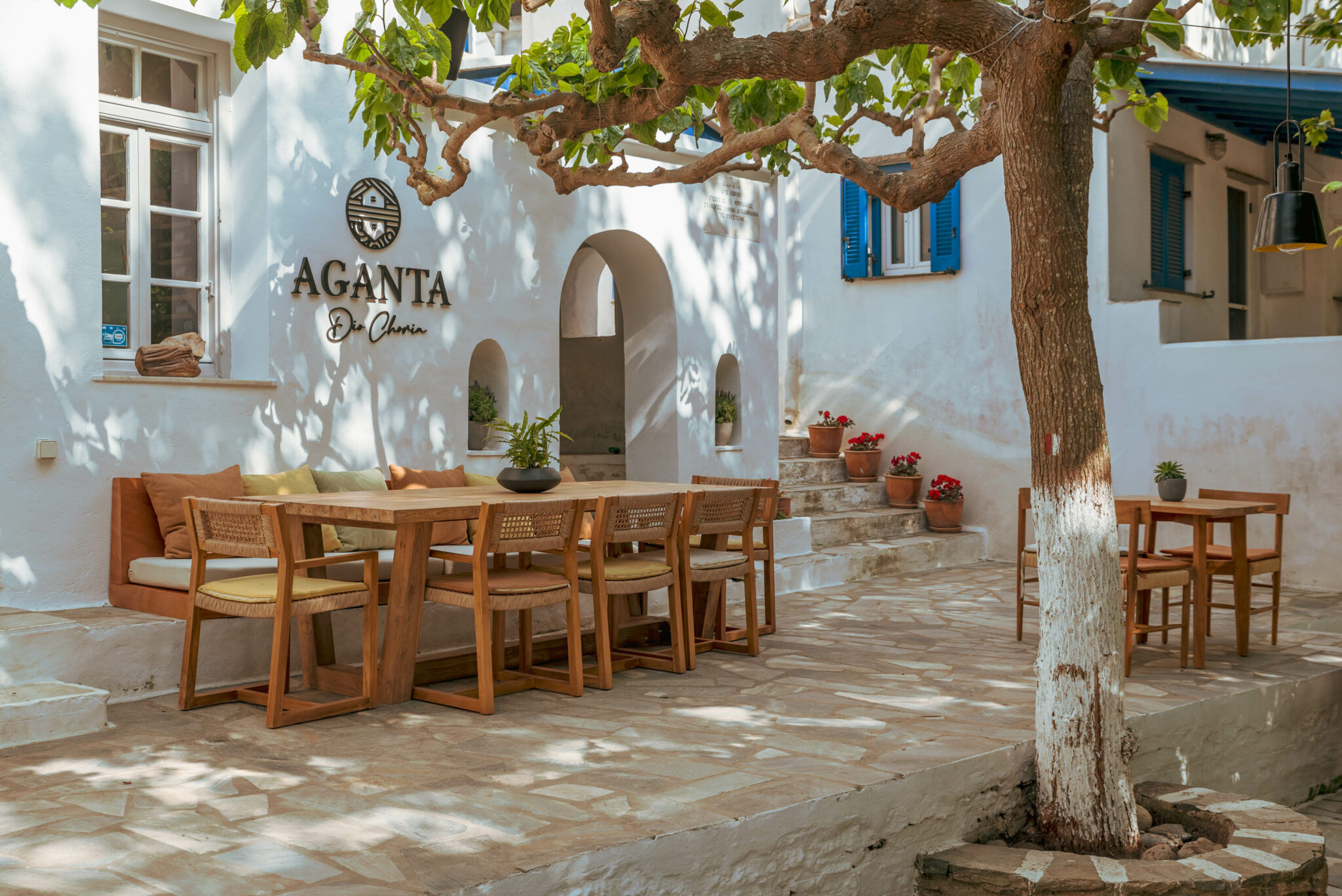 AGANTA HIGH RES-103