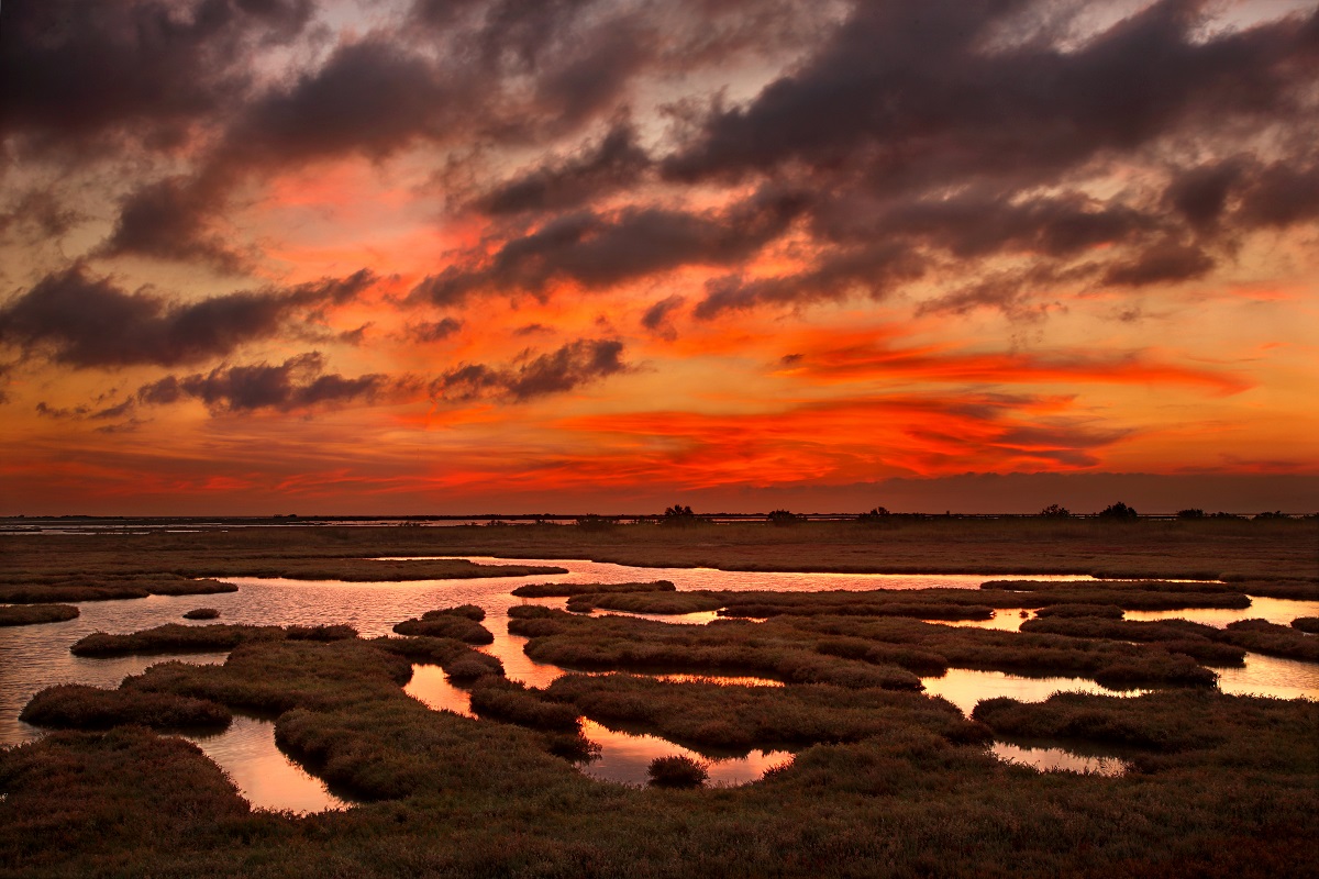 Evros,,Greece.,Sunset,At,The,Delta,Of,Evros,River,,Thrace,