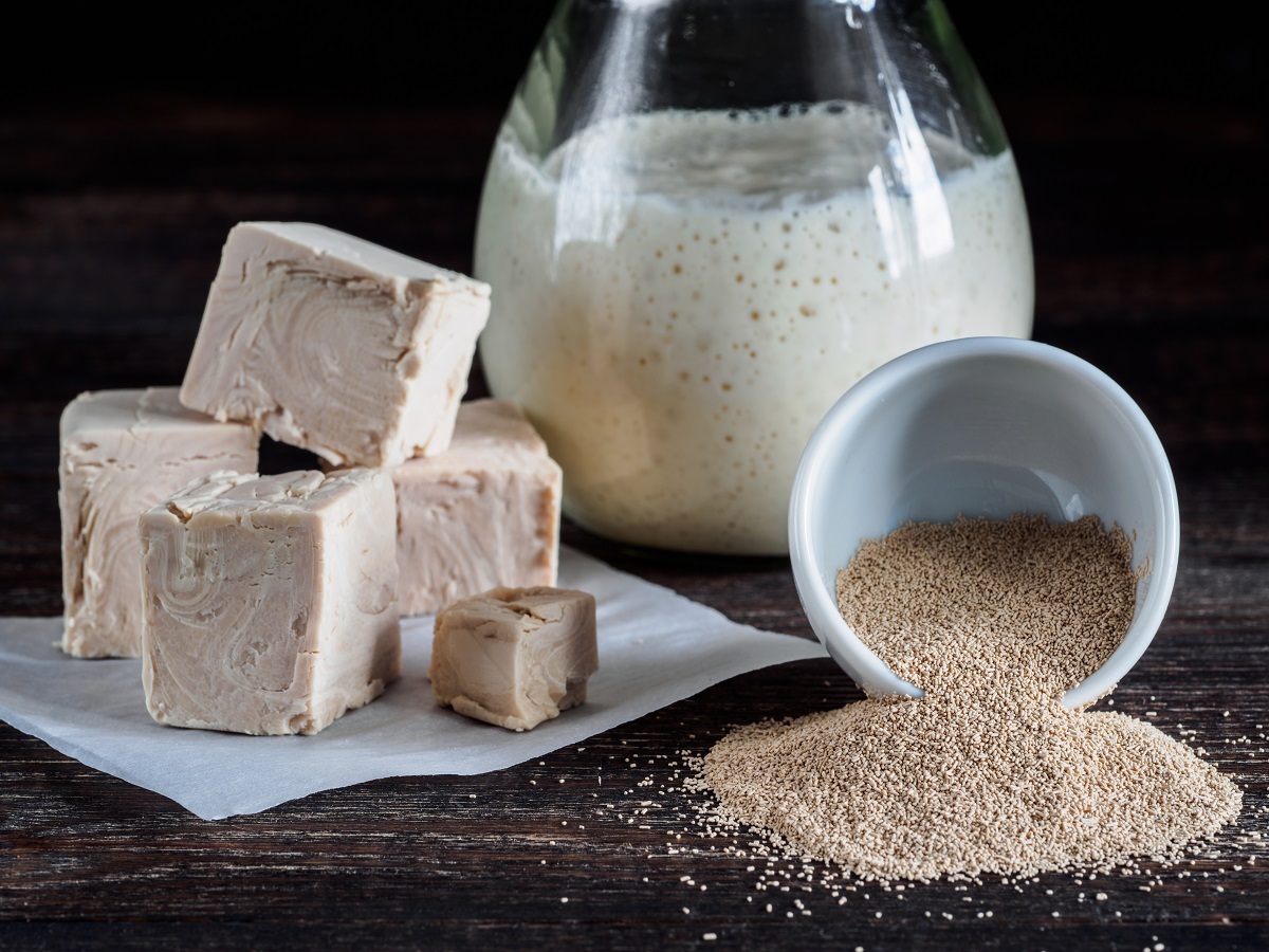 Different,Types,Yeast.,Fresh,Pressed,Yeast,,Dry,Instant,Yeast,And