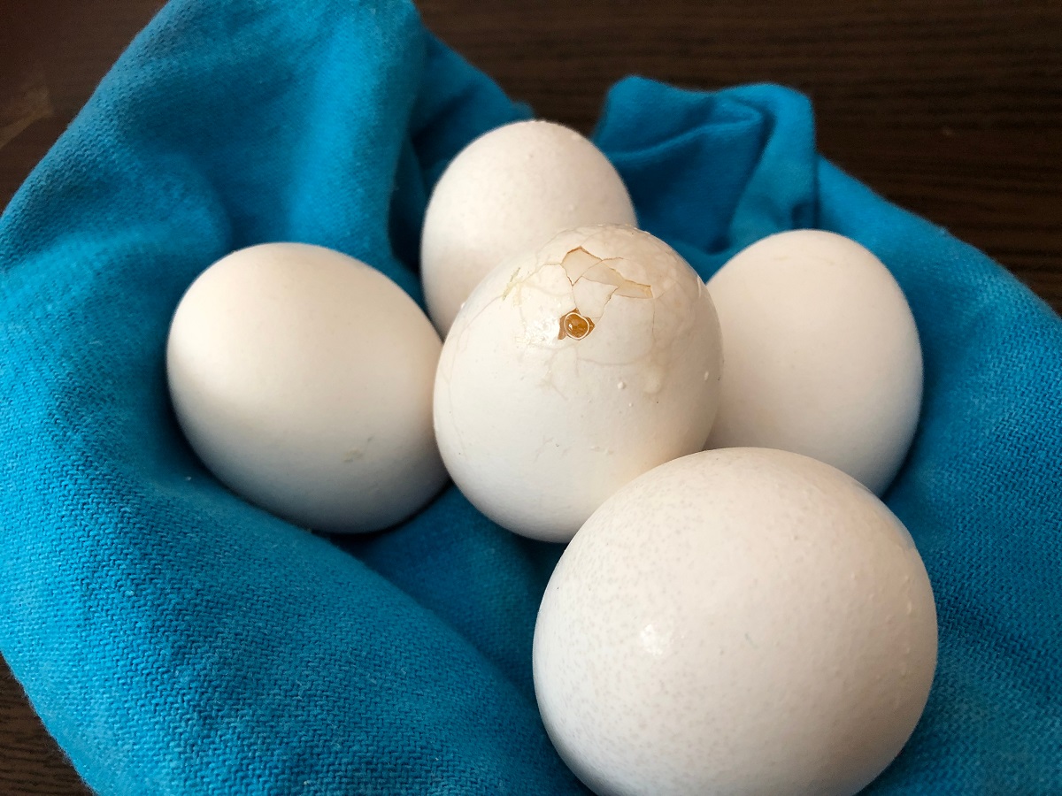Slightly,Cracked,Egg,Showing,The,Concept,Of,Fragility,And,Strength,