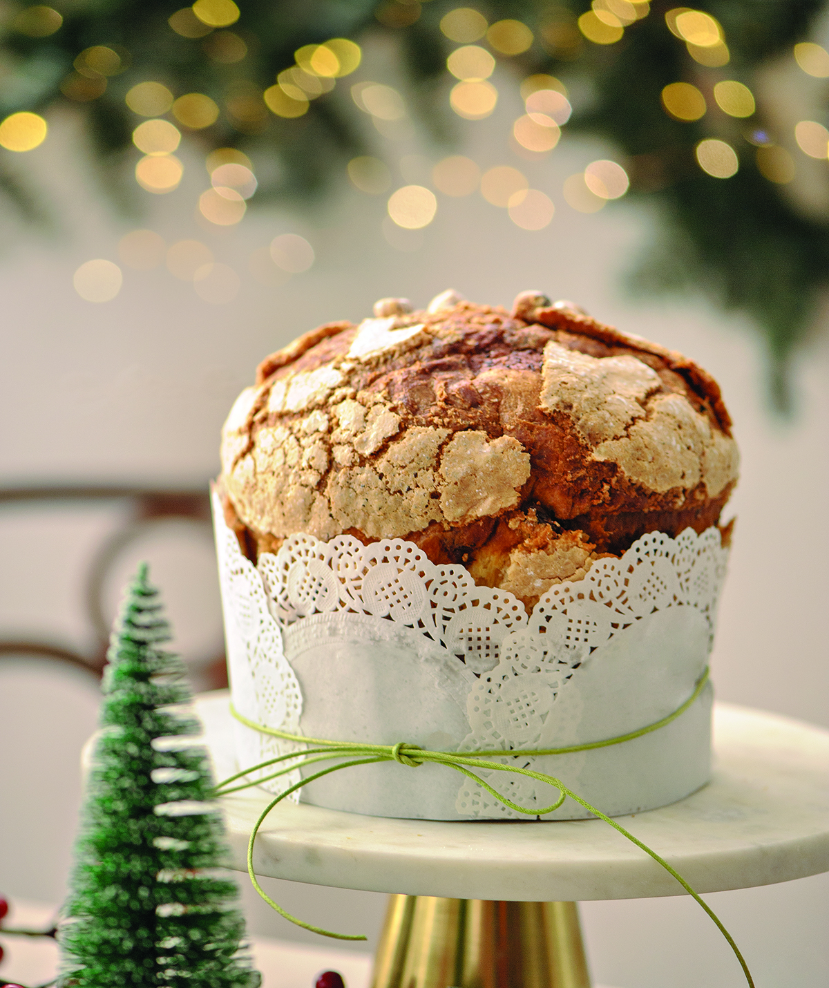 panettone-anoigma