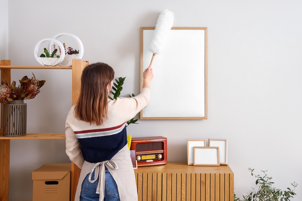 Housewife,Cleaning,Blank,Frame,With,Pp-duster,At,Home