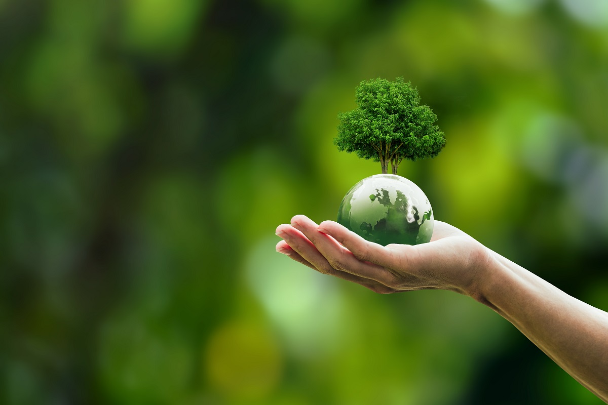 Global,Sustainable,Environment,Concept,-,Esg,,Net,Zero,,Eco,,Co2,
