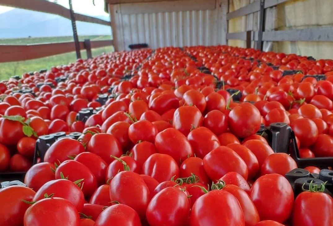 foto ntomates-eso2