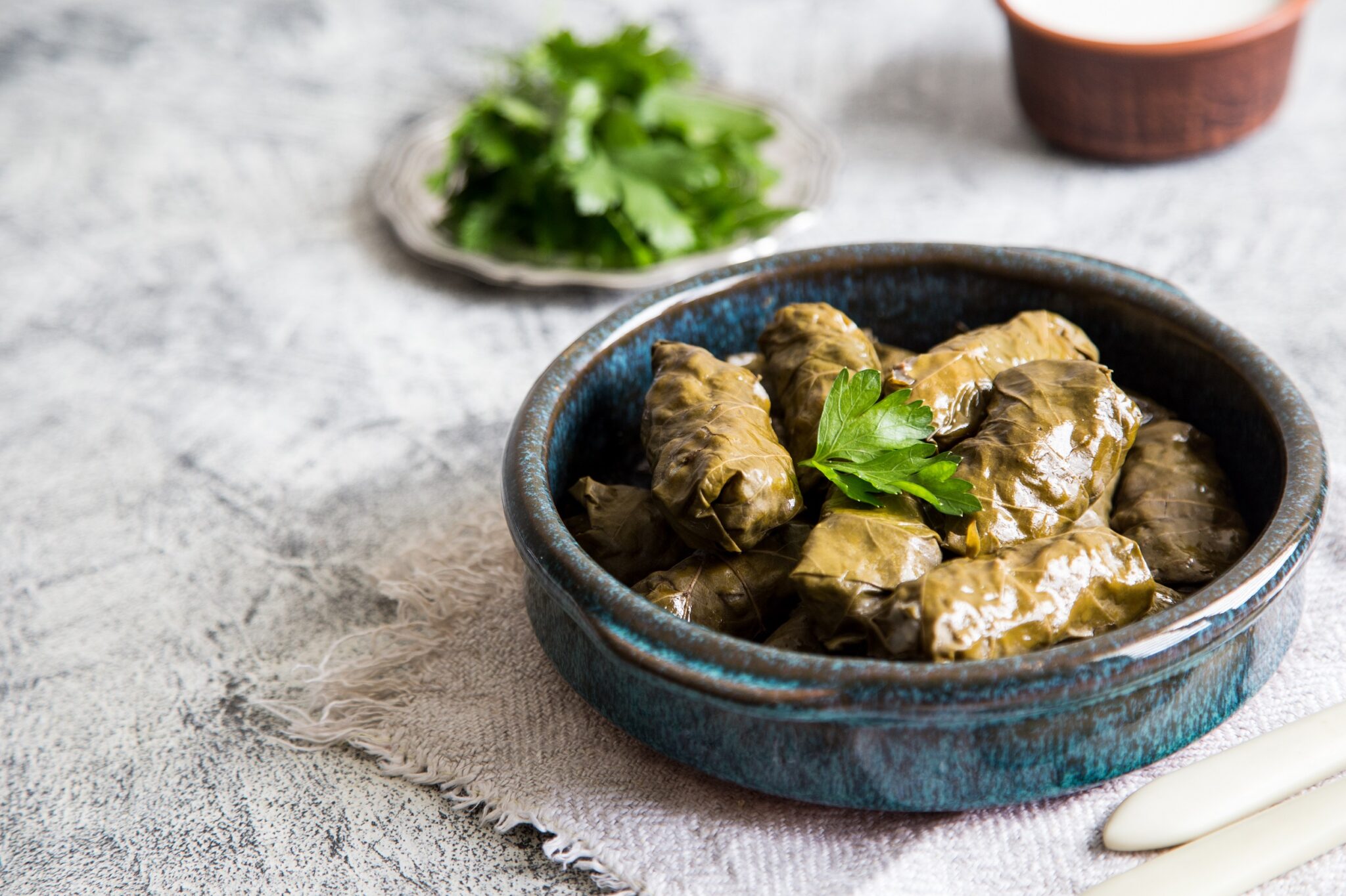 Traditional,Dolma,(sarma),In,Grape,Leaves,With,Copyspace.,Lebanon,Turkish