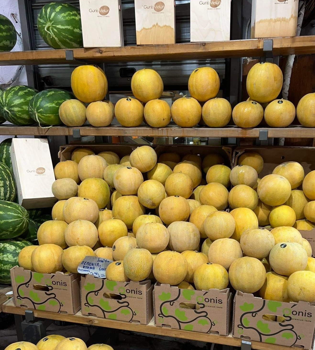 gonis-melon-anoigma