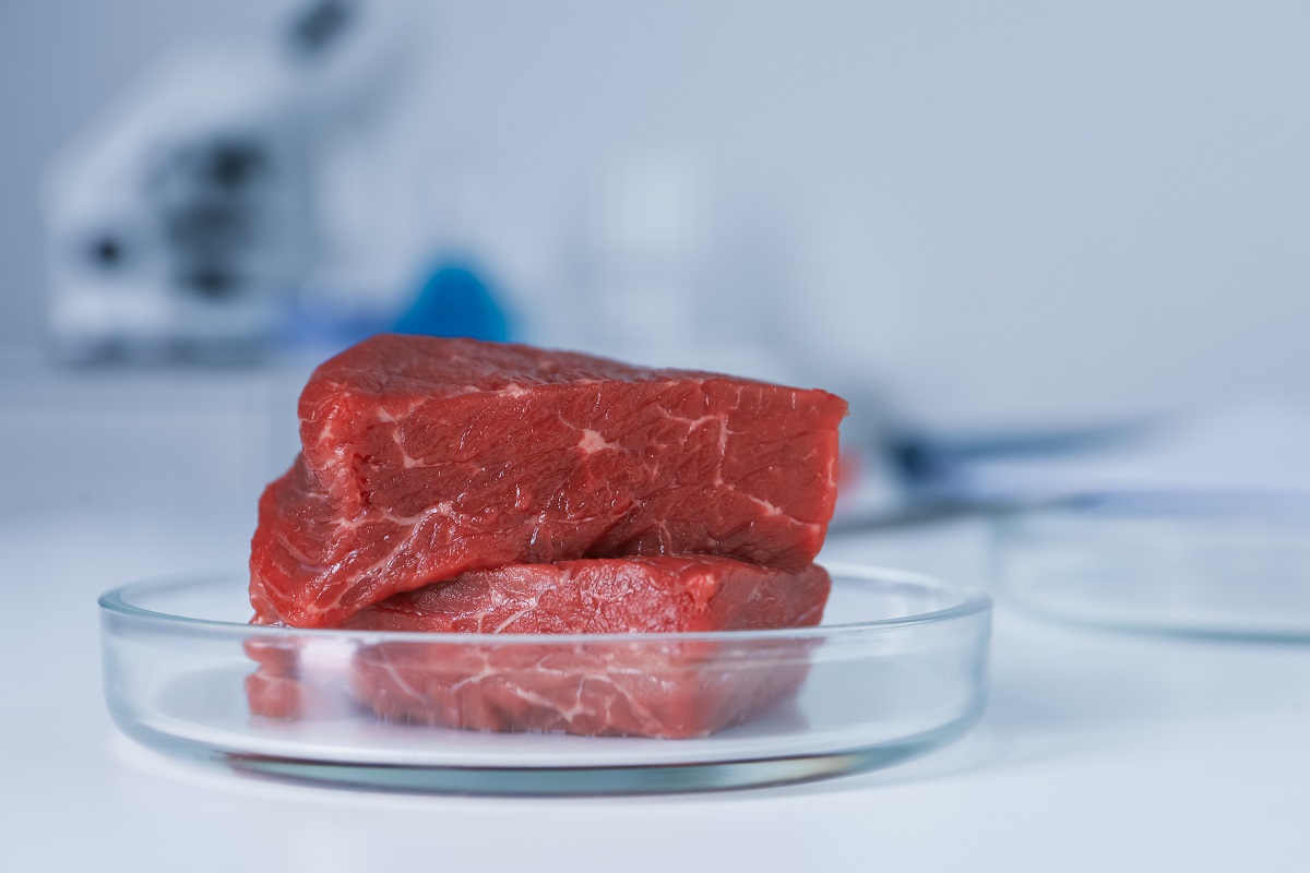 Petri,Dish,With,Pieces,Of,Raw,Cultured,Meat,On,White
