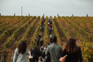 day-of-wine-tourism-1024×683