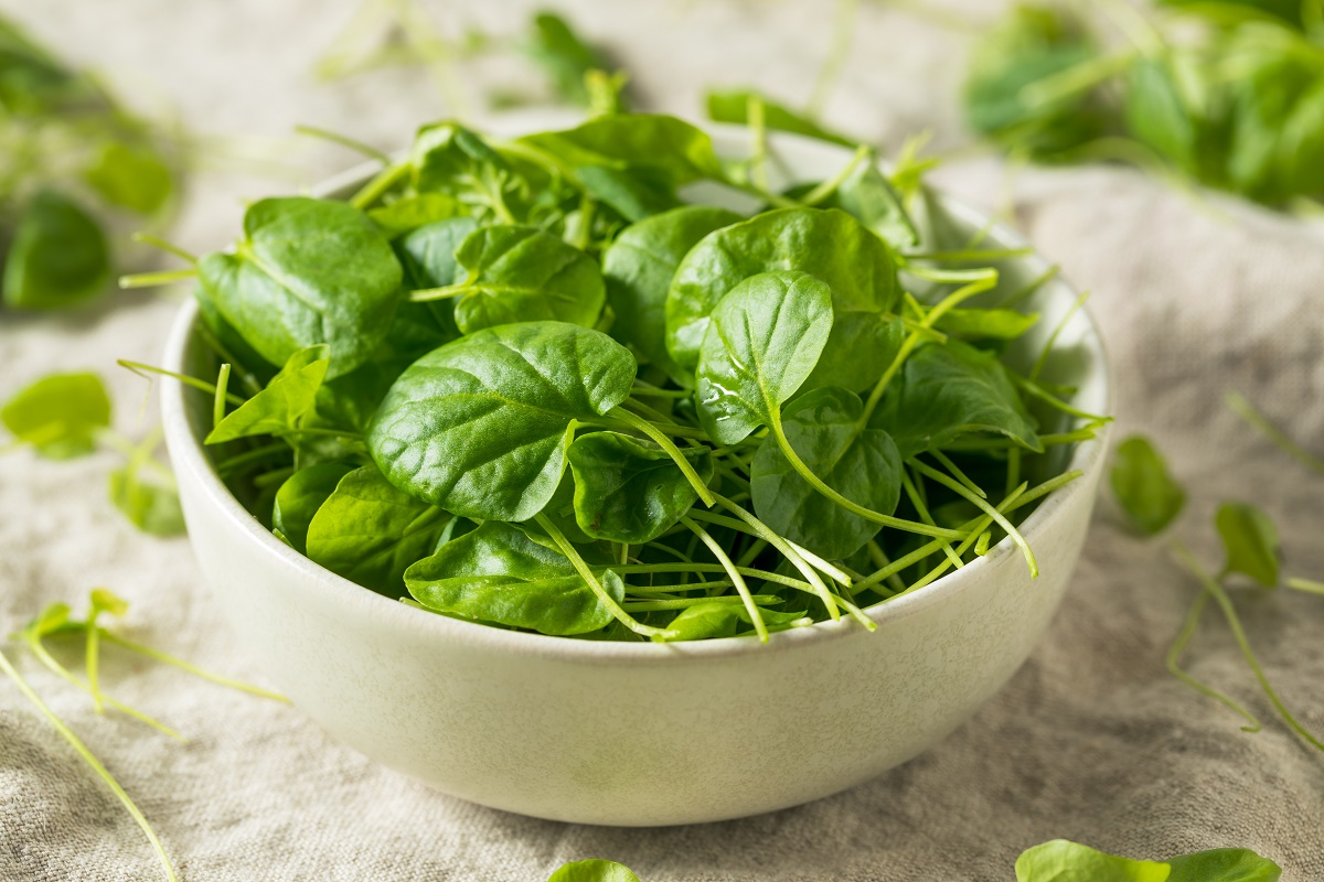 Raw,Green,Organic,Watercress,In,A,Bowl