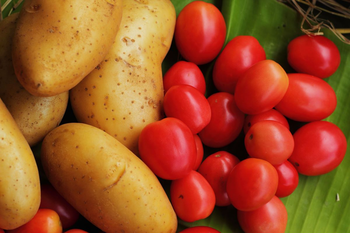 ntomates-patates-NET