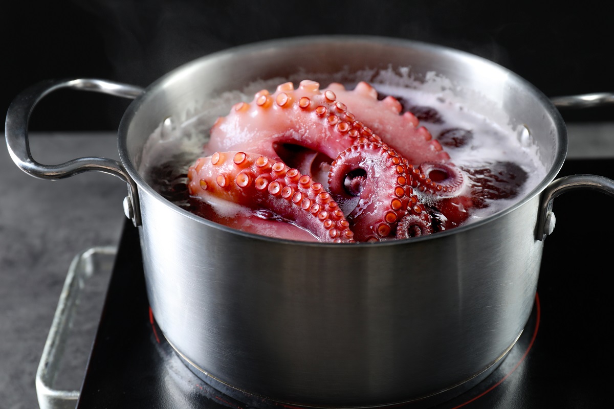 Fresh,Octopus,Boiling,In,Pan,On,Stove,,Closeup