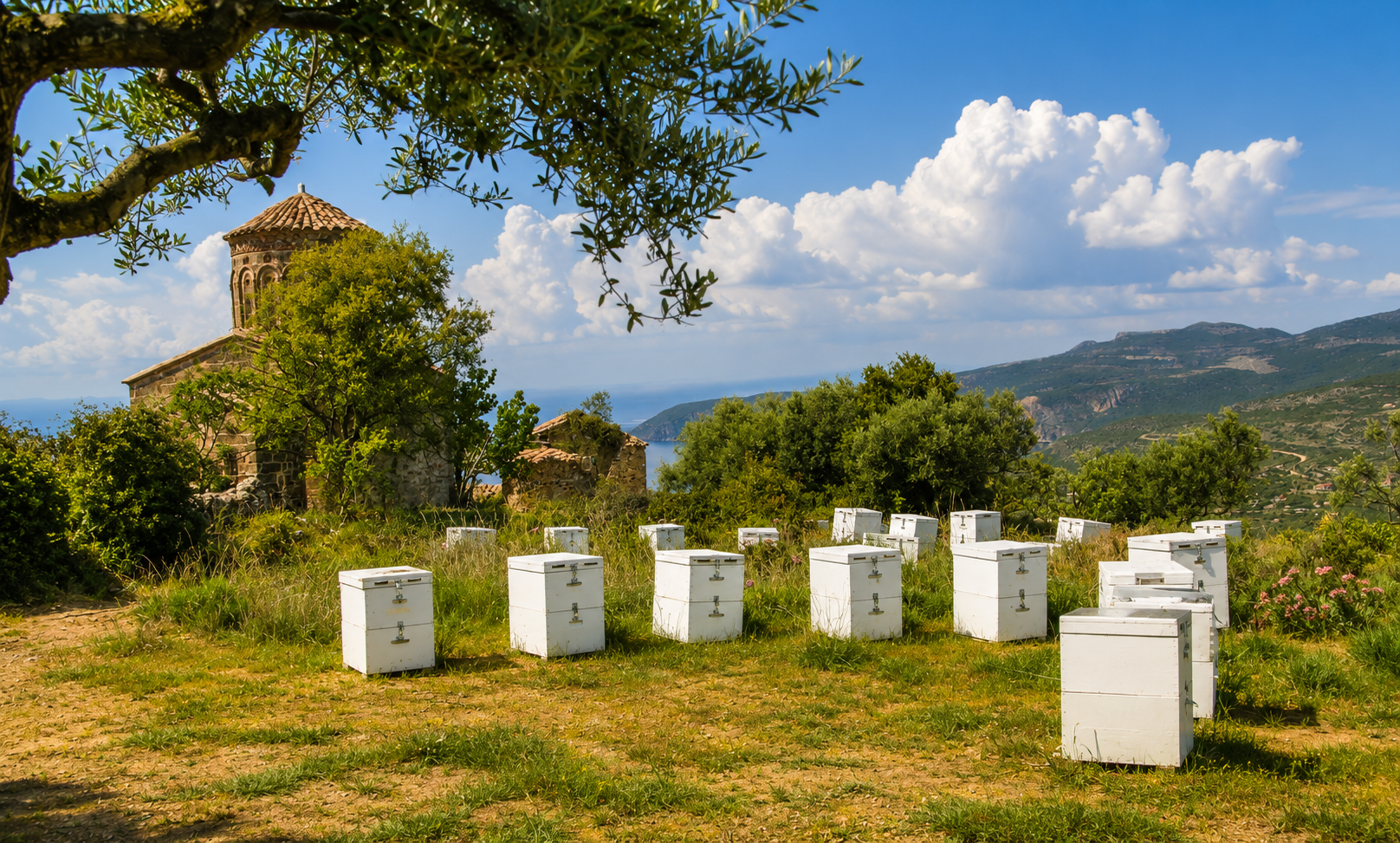 ελαττώματα μελιού