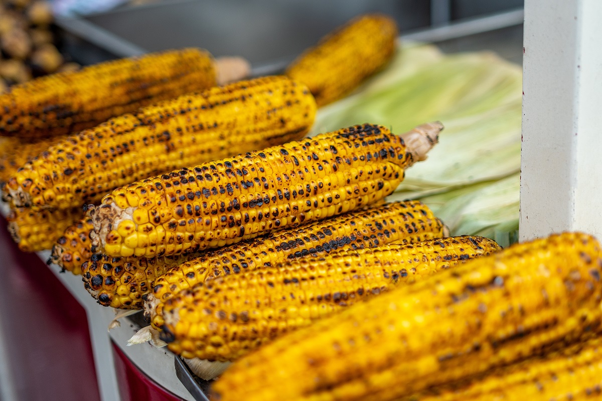 Freshly,Boiled,Or,Grilled,Sweet,Corn,On,The,Cob,Sprinkled