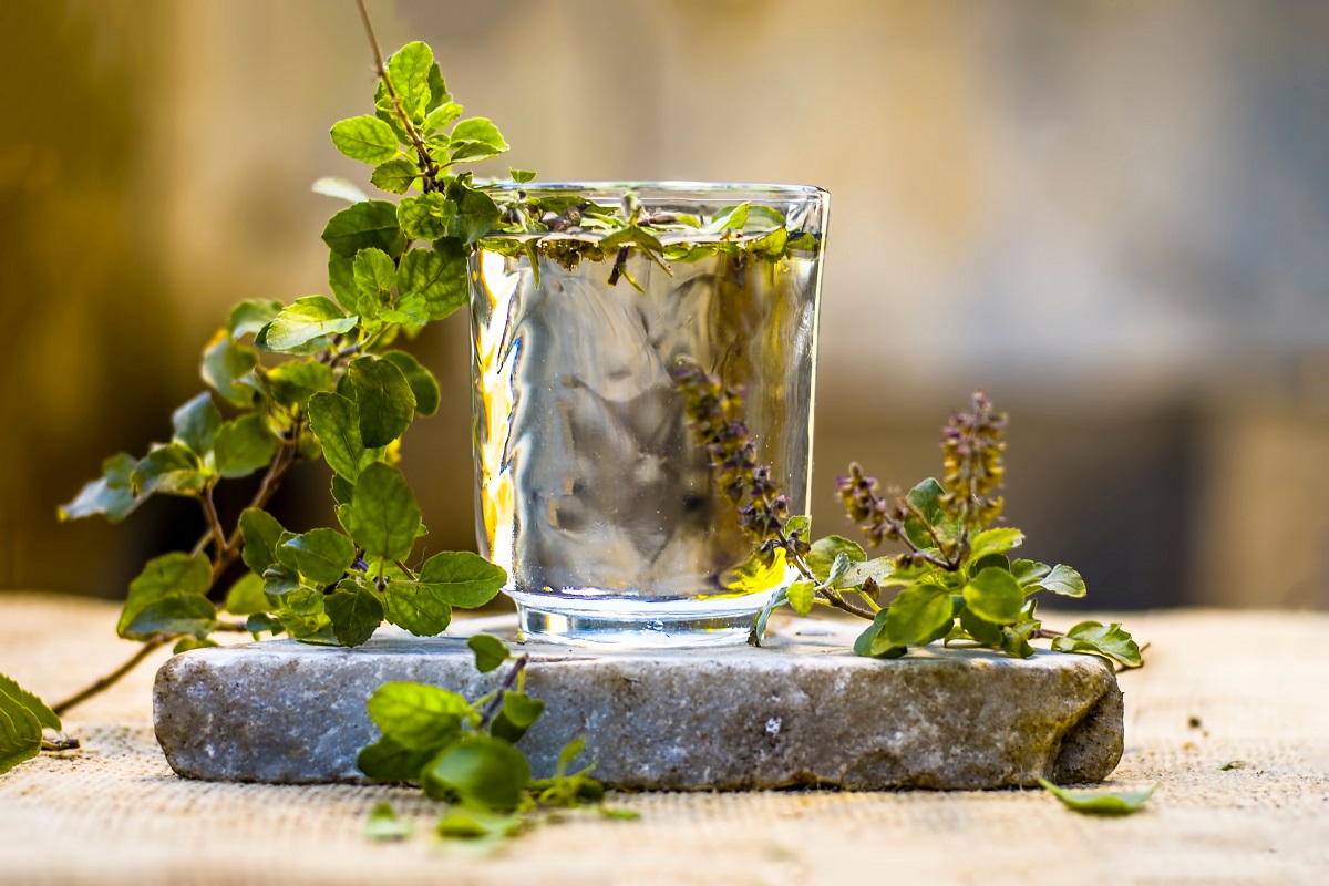 Water,Of,Holy,Basil,,Tulsi,Or,Ocimum,Tenuiflorum,In,A